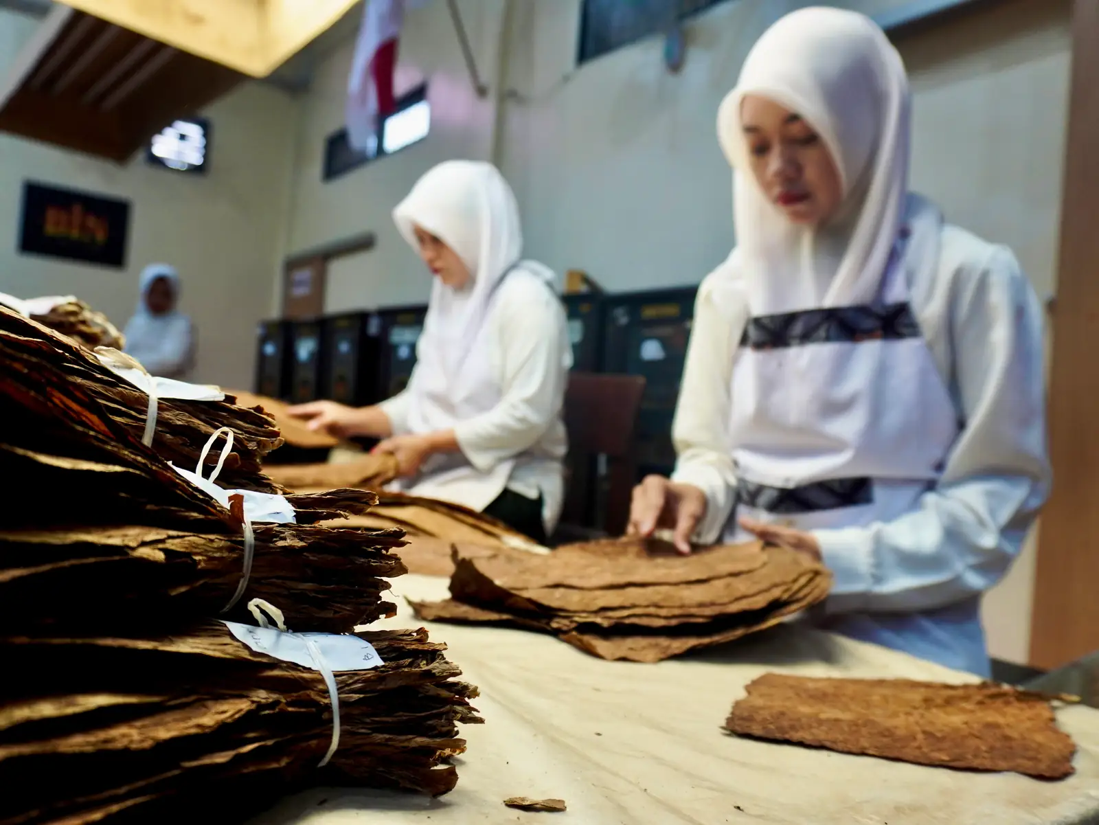 Grading tobacco leaf by hand in Jember